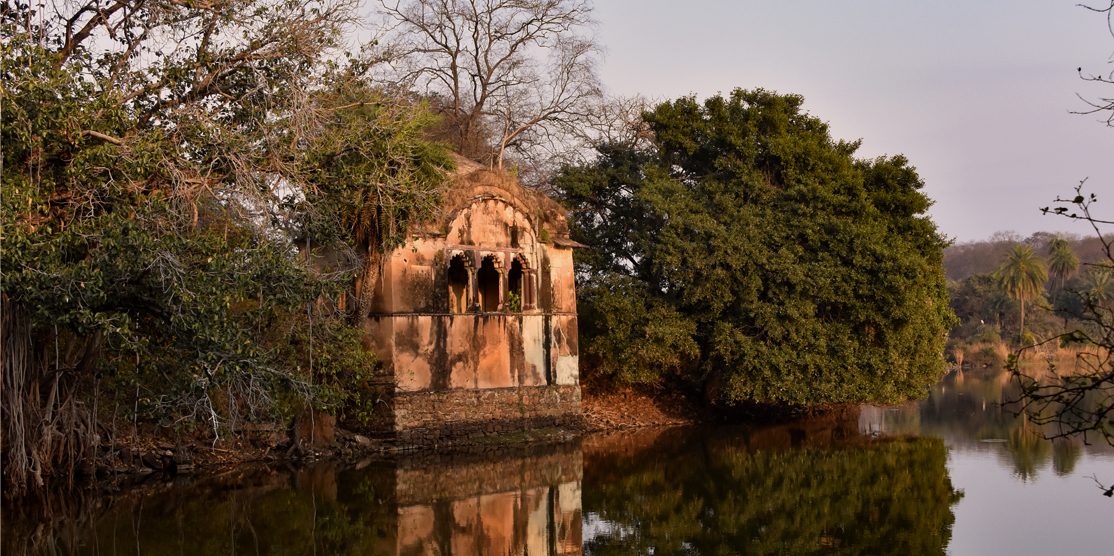 Raj Bagh Ruins